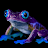 Froggy 11235-avatar