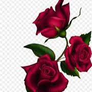 Manpreet Singh