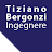 Tiziano Bergonzi-avatar