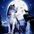 Sky Wolf Spirit-avatar