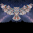 Nightowl ˇ′ˇ-avatar