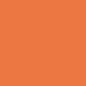 Vizard King Live