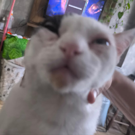 Kawaiii MineGamer