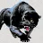 Panther-avatar