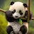 Panda Bear-avatar