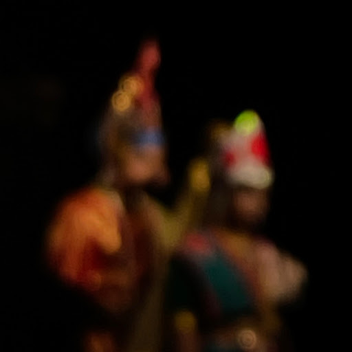 Devdisha Sarkar