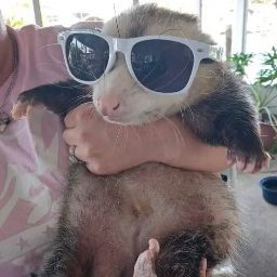 author