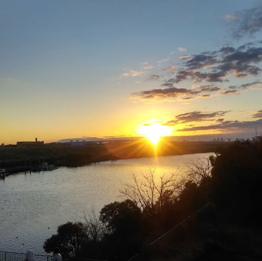 僕の夢は正社員 Google Play のアプリ