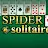 Spider Solitaire-avatar