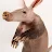 Aardvark Mindshank-avatar