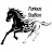Furious Stallion-avatar