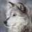 Indigo Wolf-avatar