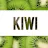 kiwi ruvolo-avatar