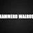 Hammerd Walrus-avatar