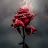 Burning' Rose-avatar