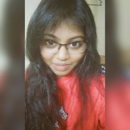 perlin sinekha