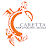 Caretta FP Services-avatar