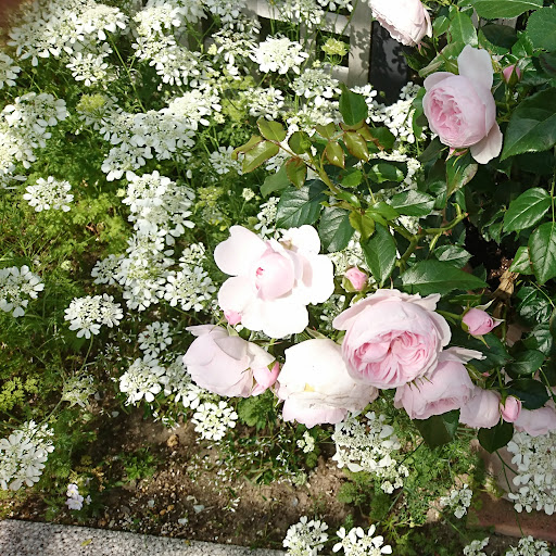 お店を経営するドット絵無料ゲーム 王国の道具屋さん2 Google Play のアプリ