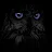 Black Owl-avatar