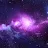 Purple Light-avatar