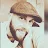 Paul Collier-avatar