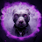 smokedog 77-avatar
