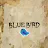 BLUE BIRD-avatar
