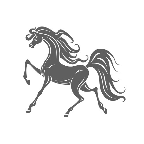 Everyday Equestrian