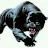 jaguar boliki-avatar