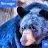 Blue Bear-avatar