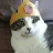 Kitten Queen-avatar