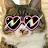 暖洋洋的猫村-avatar