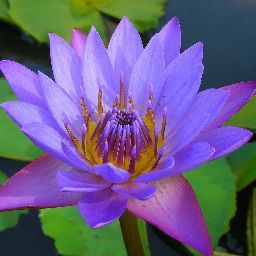 Keepa Amazon Price Tracker Apps On Google Play