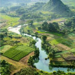 グリパチ バジリスク 甲賀忍法帖 絆 Google Play のアプリ