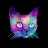 Galaxy Cat-avatar