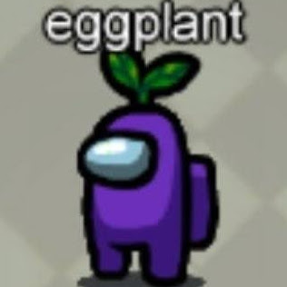 Eggplant Fruit