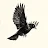 BLACK BIRD-avatar