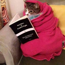 author