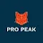 pro peak-avatar