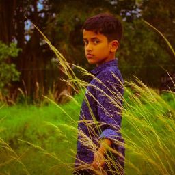 author