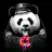 Black Panda-avatar