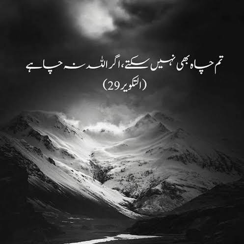 Muzamal Hussain