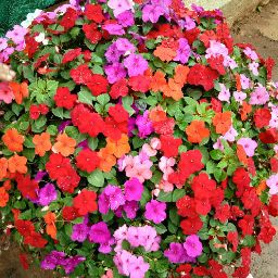 Pavan kumar. K.N