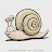 TheCoolest Snail-avatar