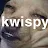 Kwispy-avatar