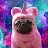 Unicorn Pug-avatar