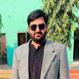 Syed Zeeshan Ali Zaidi