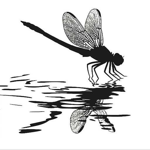 Dragonfly Girl