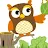 The Owls-avatar