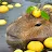 Capybara With an Orange on its Head-avatar